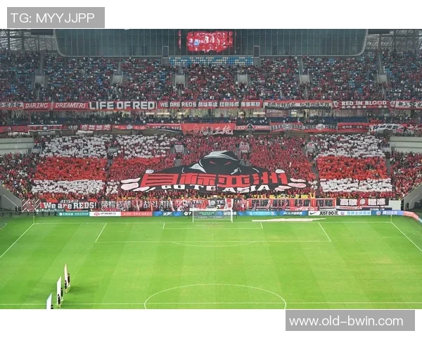 肖恩在足球场上的传奇之路与不屈精神的完美结合